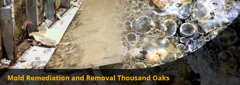Mold Remediation and Removal Thousand Oaks CA